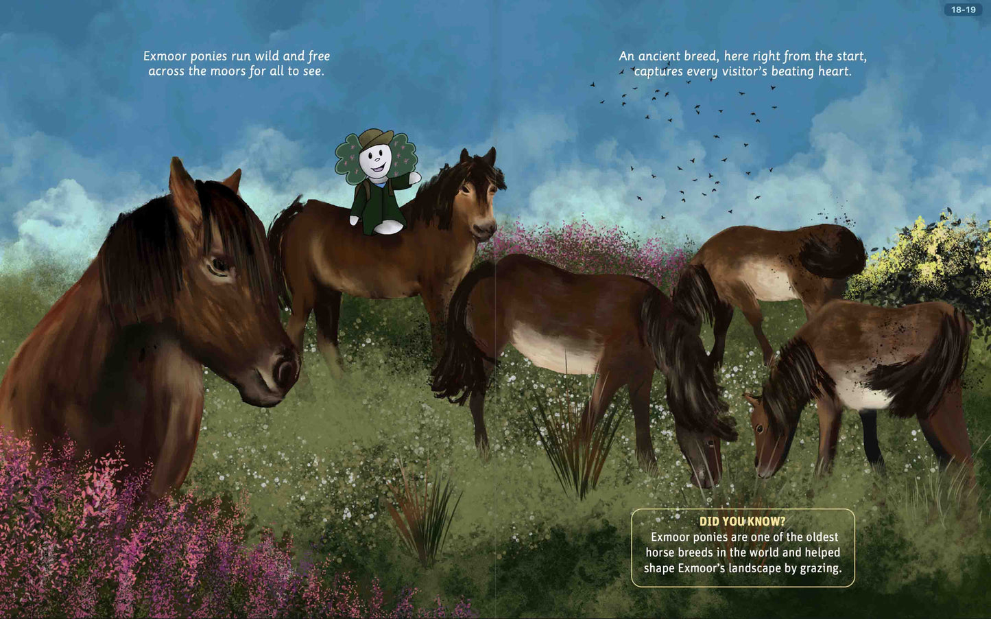 Can You Read Exmoor National Park?