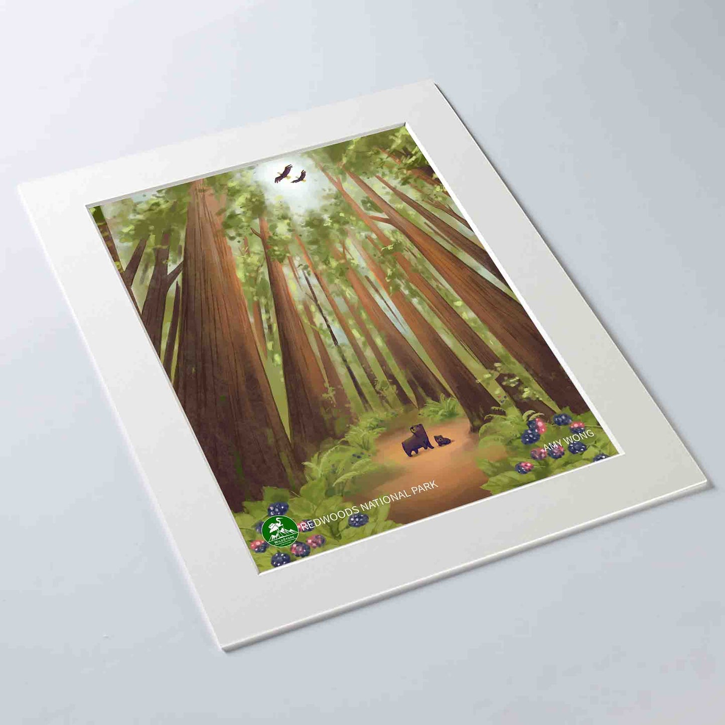 Redwoods National Park Print