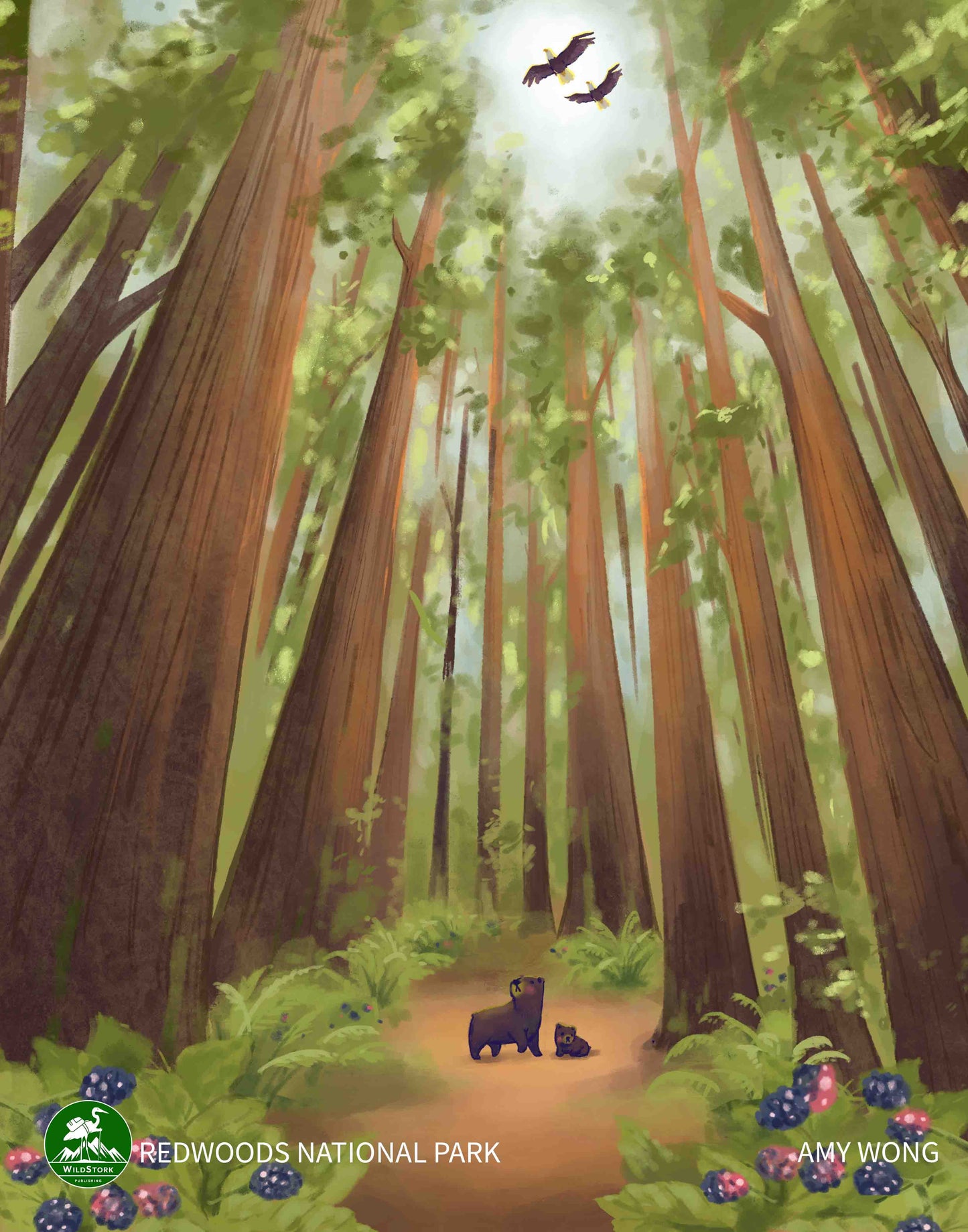 Redwoods National Park Print