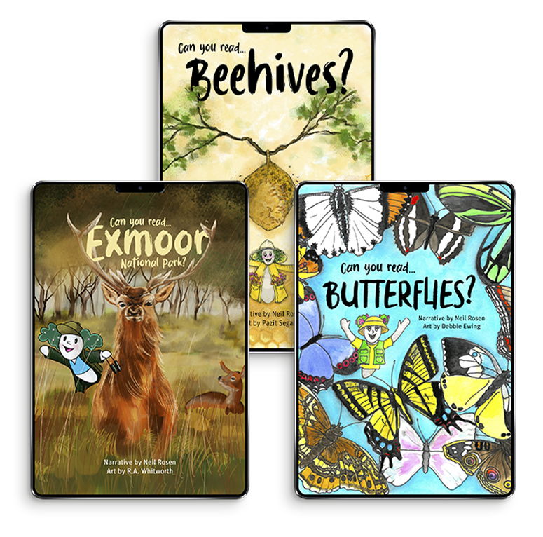 Bundle of 3 Books