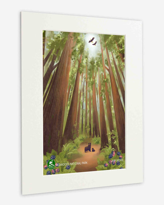 Redwoods National Park Print